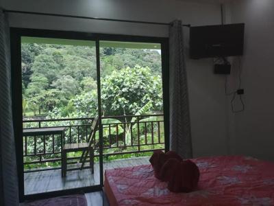 Yuyu Golden Beach - 46