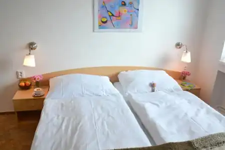 Wellness Vila Bohemia - 67