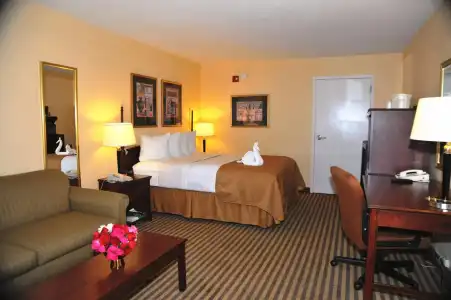 Opal & Suites - 1