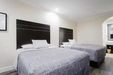 Palace Inn TX-249 - 1