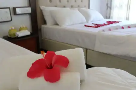 Thoddoo Inn - 6