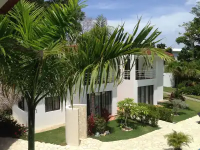 Coral Blanco - 0