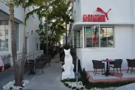 Posh South Beach Hostel - 28