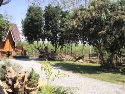 Bansuanphuhong - 15