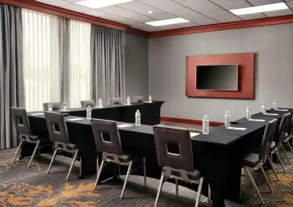 Hilton Garden Inn Las Colinas - 49