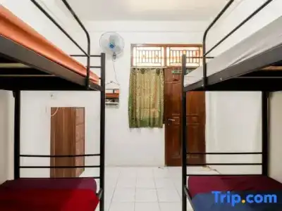 Arjuna 31 Homestay - 19