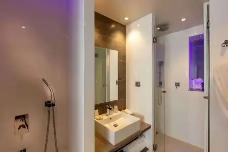 Best Western Plus Le Lavarin - 161