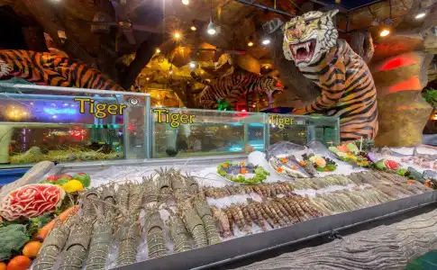 Tiger Complex - 9