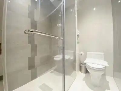 The Luxe - 16