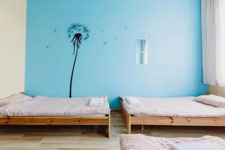 Hostel Tara - 52