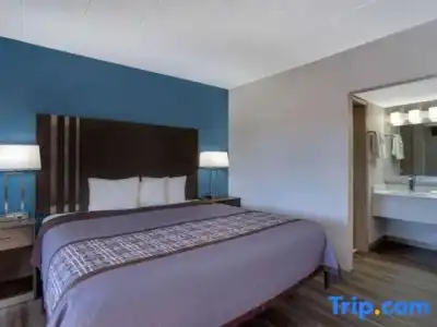 Toyoko Inn JR Wakayama Station Higashi - 101
