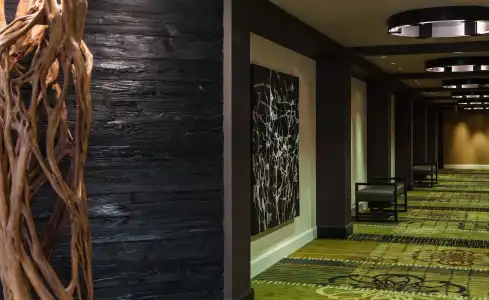 Marriott Greensboro Airport - 14