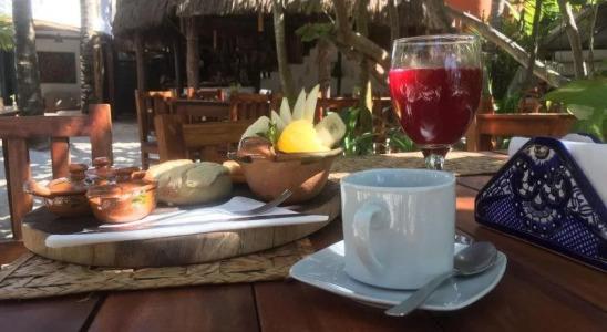 Dos Ceibas Tulum - Feel Good - 10