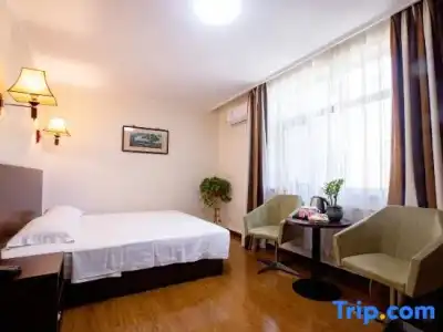 ibis budget Singapore Sapphire - 89