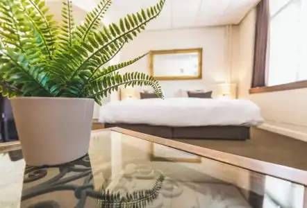 Queen - 59