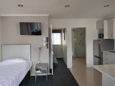 Auckland Phoenix Palm - 2