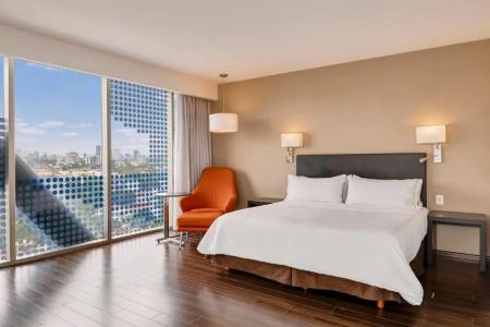 Fiesta Inn Insurgentes Viaducto - 46