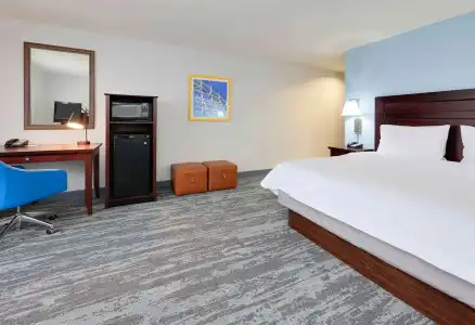 Hampton Inn & Suites Dallas-Arlington-South - 44