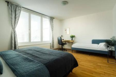 Business & Family Ambiente Apartments - 248