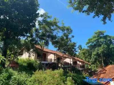 Daisy Resort - 84