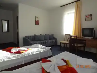 Alpenhof Pansion - 15