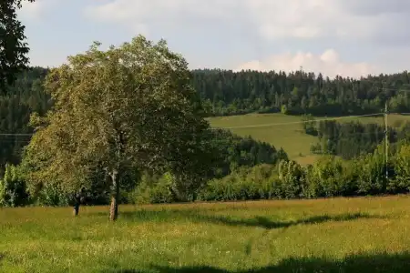 Gaststätte Rainhof Scheune - 23