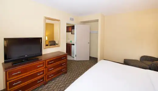 Holiday Inn & Suites Chicago - Downtown by IHG - 5