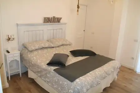 Edera e Camelie - 53