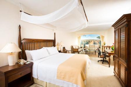 Holiday Inn Merida by IHG - 5
