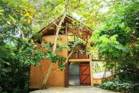 Jungle Village By Thawthisa - 27
