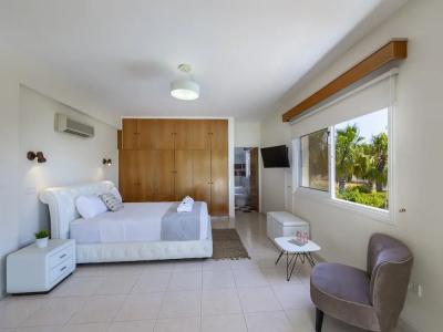 Meneou Seaside Mansion 7 - 39