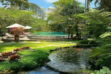 Ubud Sari Health Resort - 13
