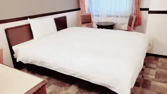 Toyoko Inn Hon Atsugi Station Minami - 13