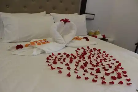 Thoddoo Inn - 8