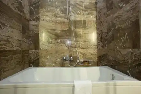 Best Western Premier Ark - 82