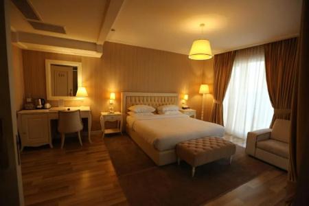 Palace & Spa - 59