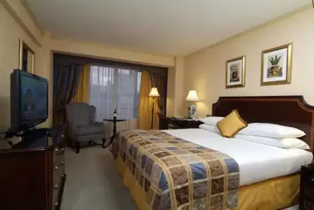 Park Plaza Santiago - 40