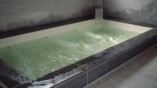 Tokiwa Ryokan - 10