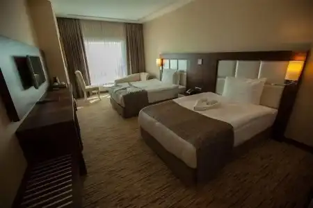Mitannia Regency - 23