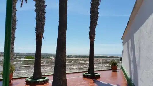 Vista Oasis - 25