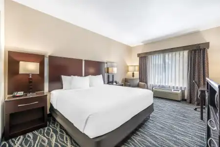 Best Western Plus Eastgate Inn & Suites - 48