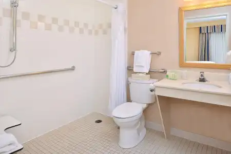 Holiday Inn & Suites Chicago - Downtown by IHG - 42