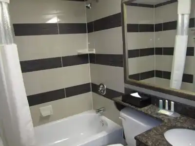 Comfort Suites Downtown - 9