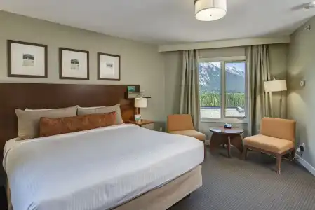 The Juniper - 90