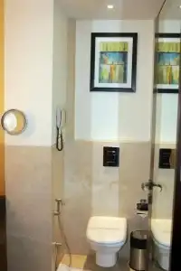 The Golden Palms & Spa Delhi - 38