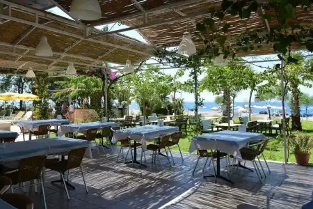Palmiye Otel - 15