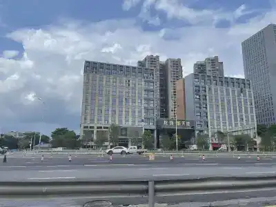 Lavandes· Shenzhen Pingshan High Speed Railway Station Shuanglong Metro Station - 13