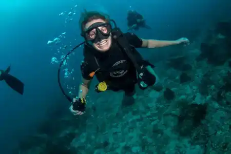 Carabao Diving Koh Tao - 17