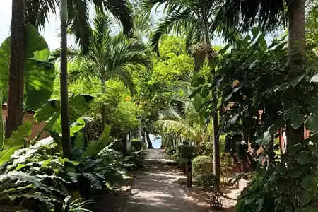 Lanta Riviera Resort (SHA Extra Plus) - 39