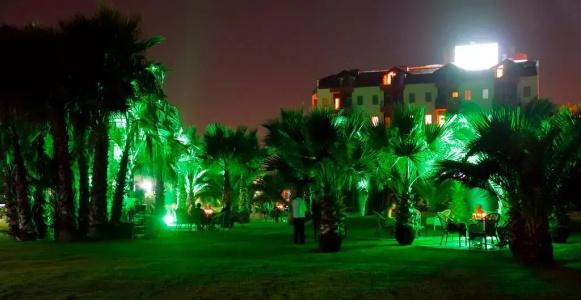 Royal Atlantis Beach - 42